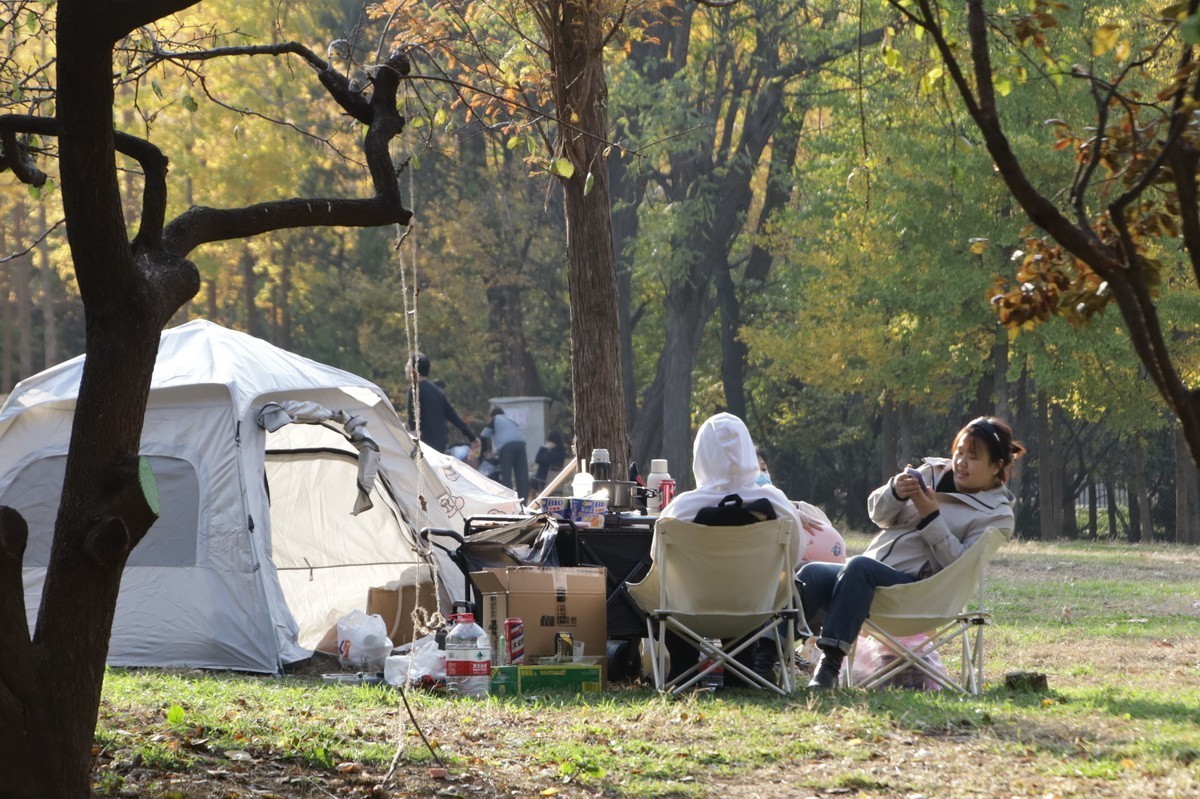 滨城游拍——劳动公园（2024-1）