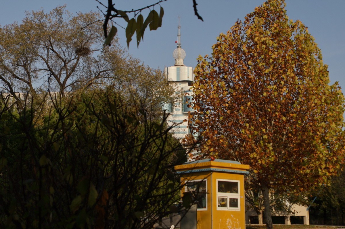 滨城游拍——劳动公园（2024-1）