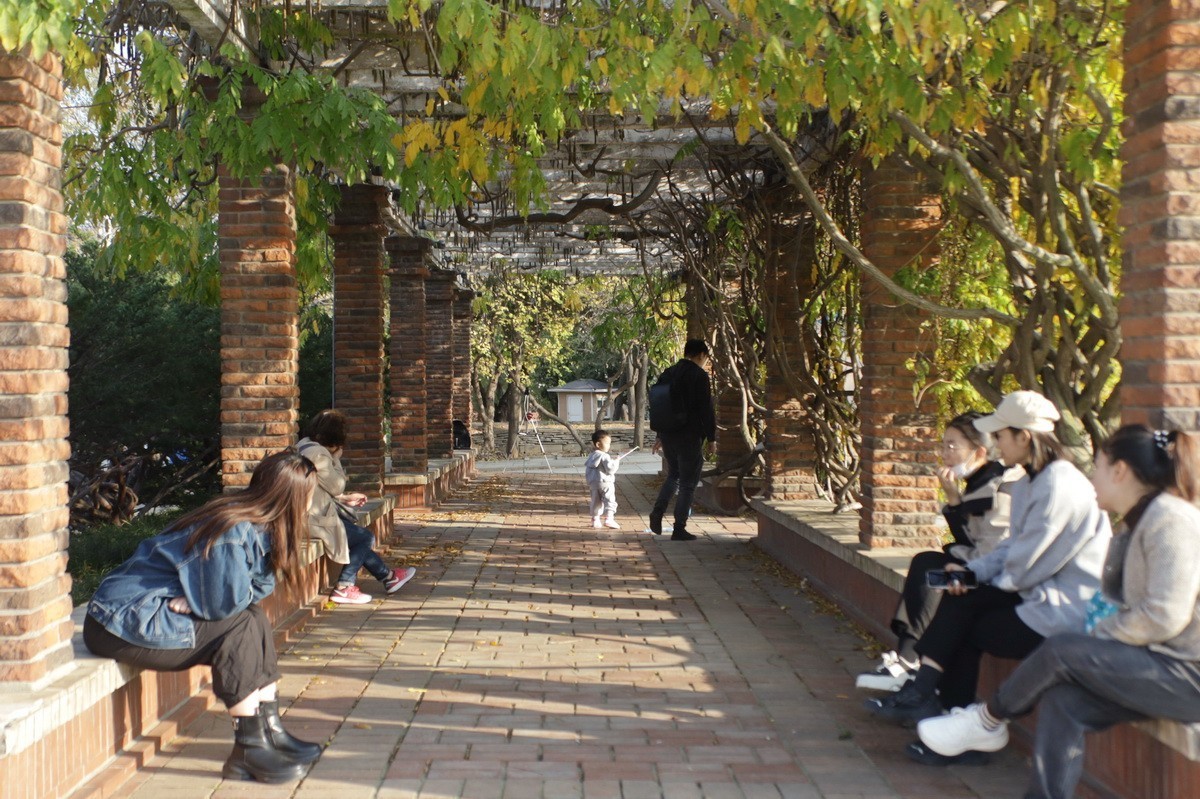 滨城游拍——劳动公园（2024-1）