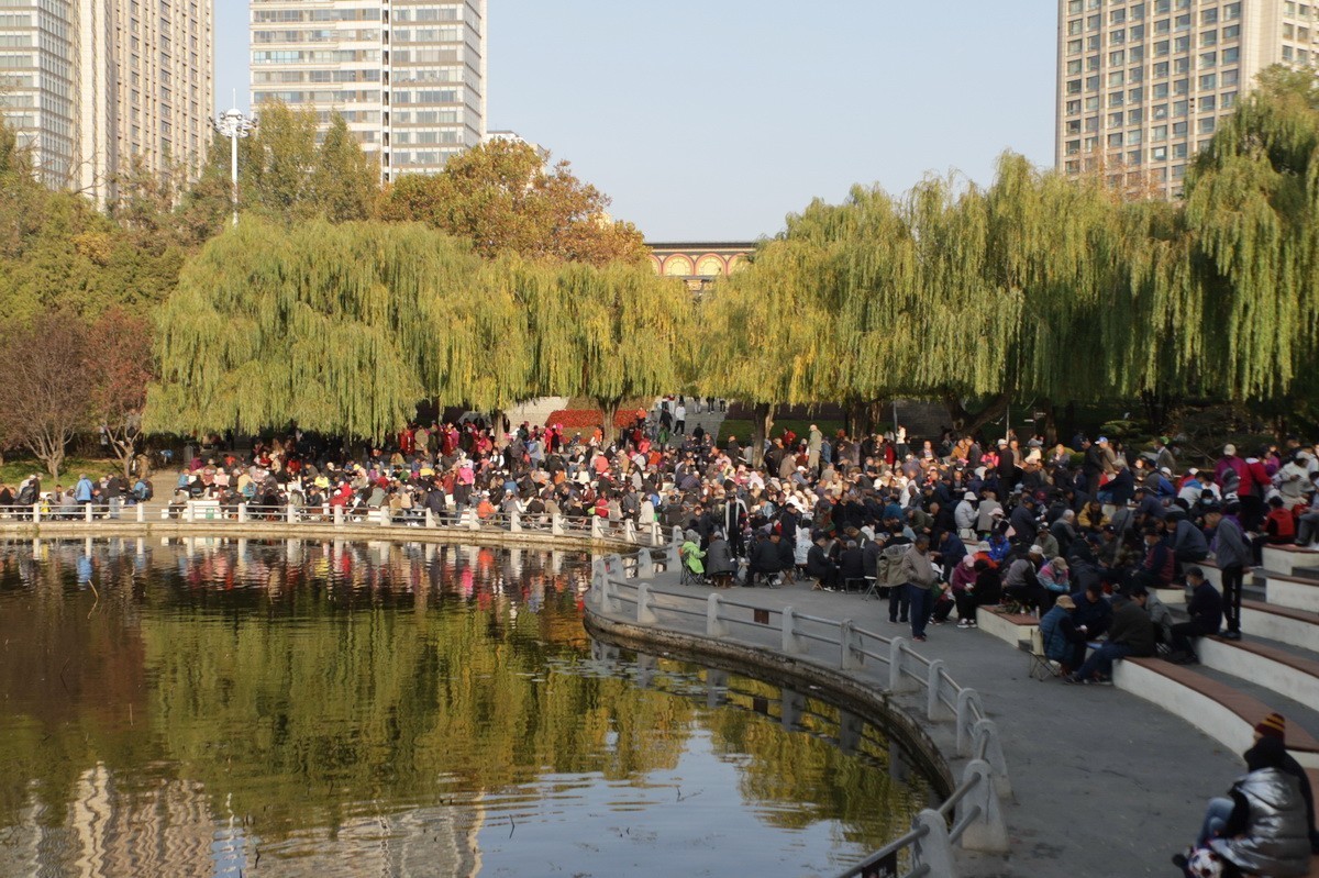 滨城游拍——劳动公园（2024-1）