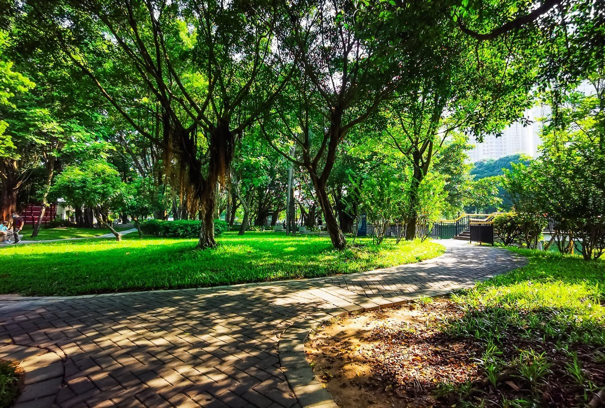 深圳笔架山公园掠影