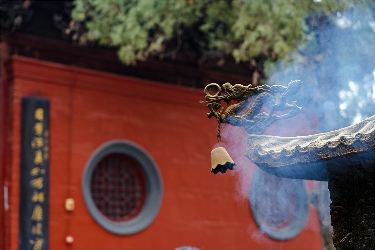 2025年第0133贴-洛阳白马寺纪实旅拍（0227）