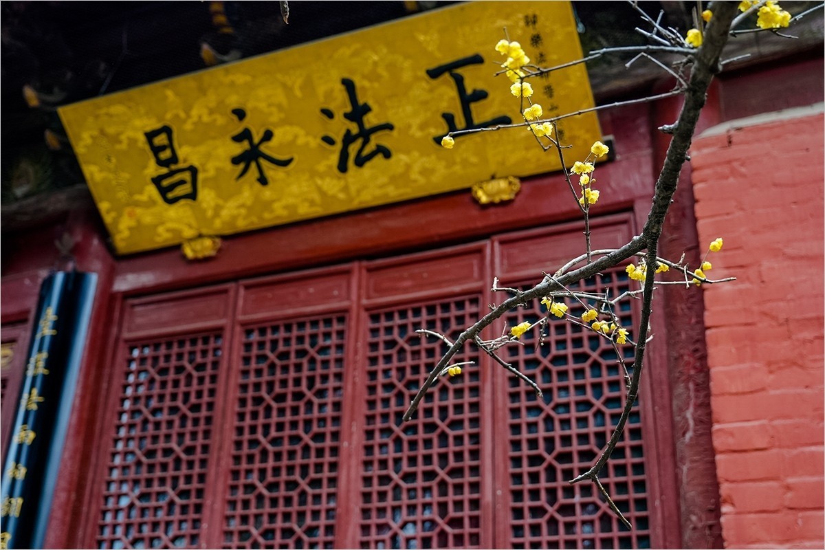 2025年第0133贴-洛阳白马寺纪实旅拍（0227）