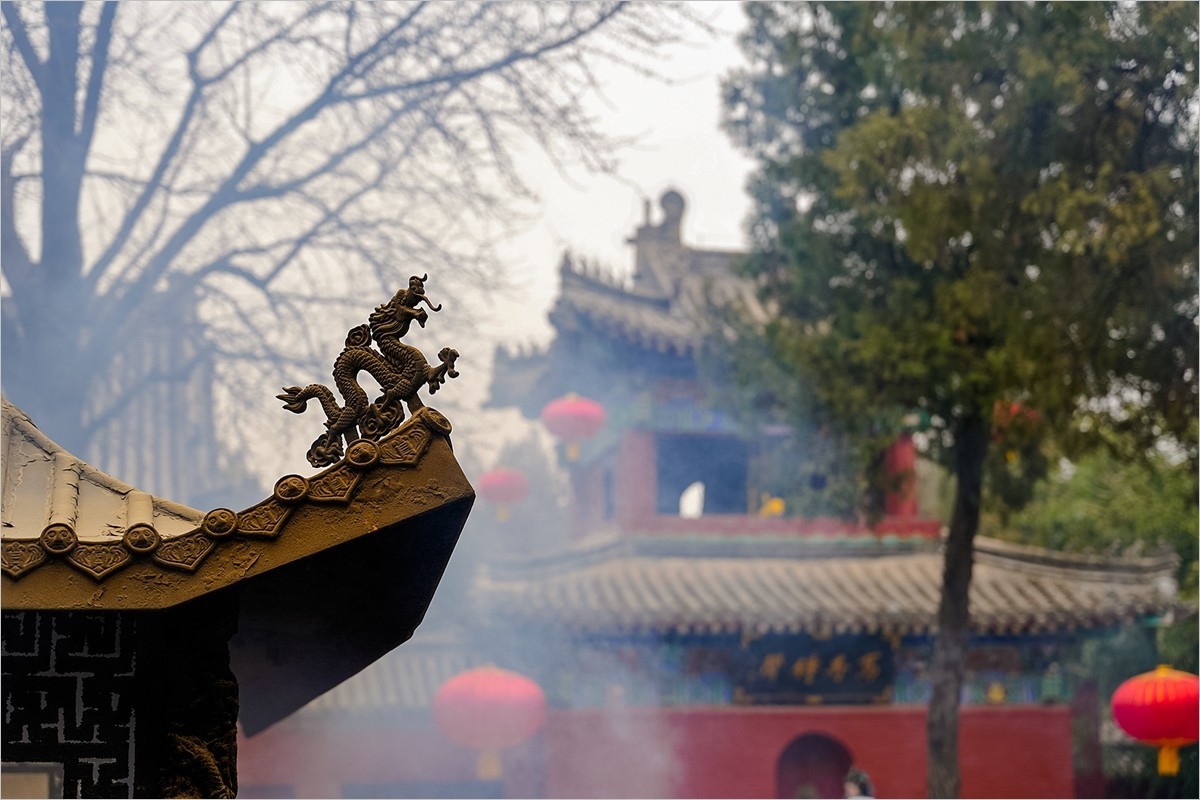 2025年第0133贴-洛阳白马寺纪实旅拍（0227）
