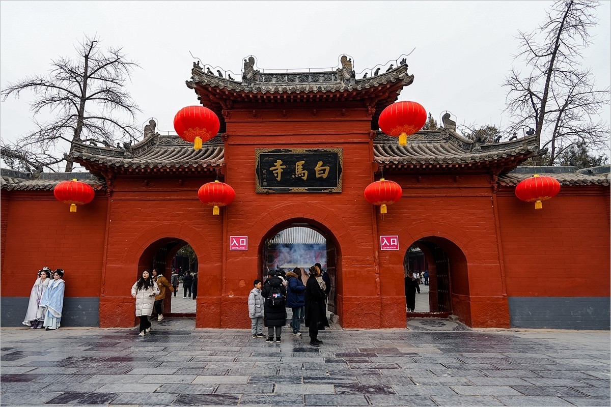 2025年第0133贴-洛阳白马寺纪实旅拍（0227）