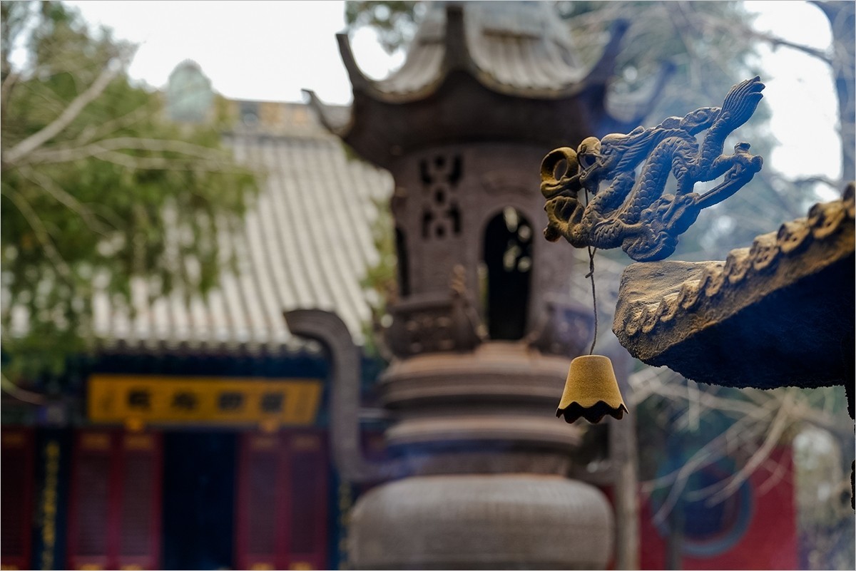 2025年第0133贴-洛阳白马寺纪实旅拍（0227）