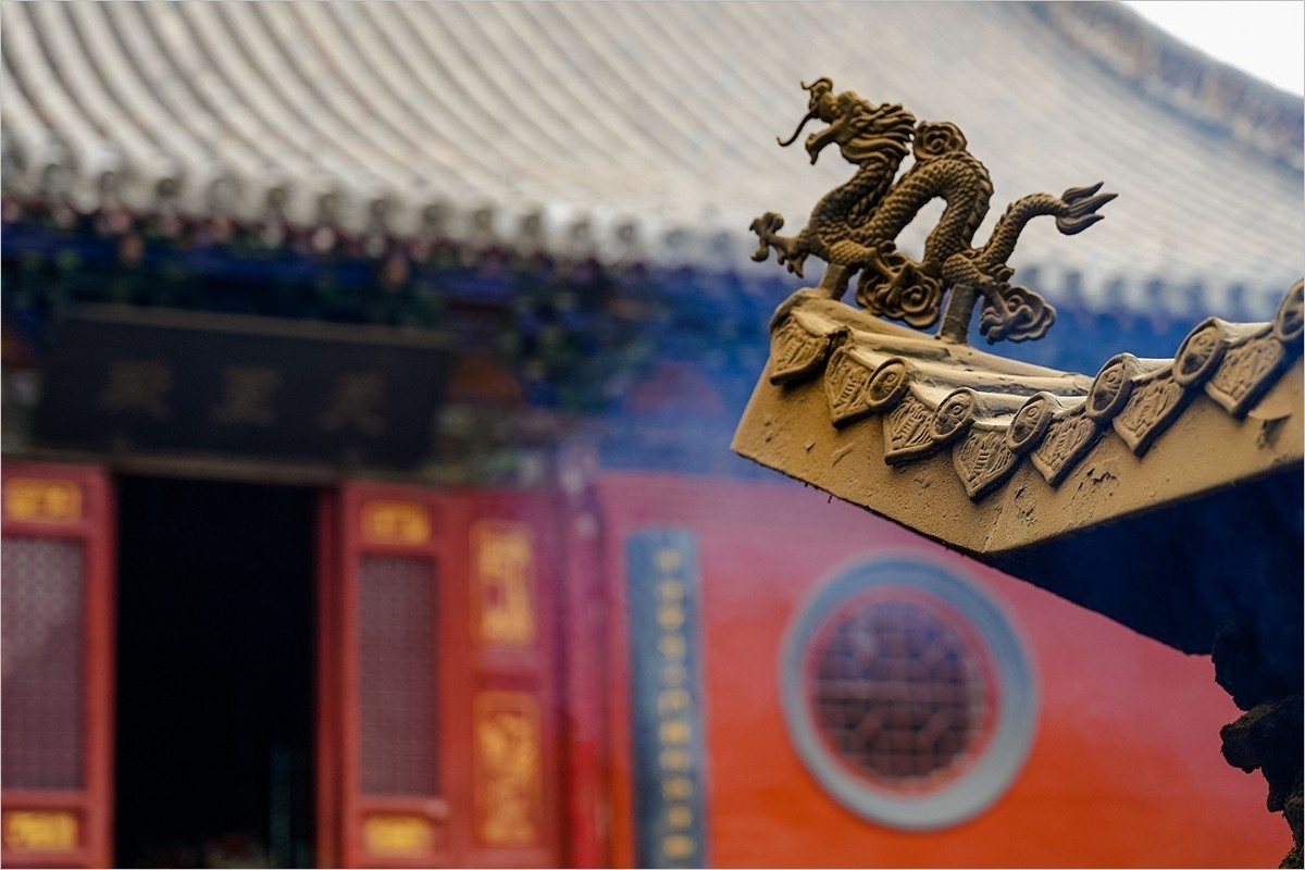 2025年第0133贴-洛阳白马寺纪实旅拍（0227）