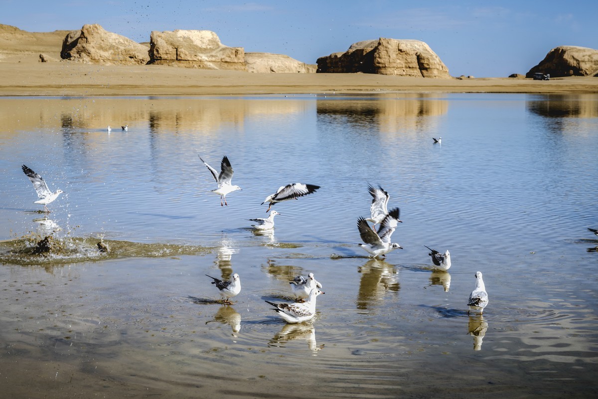 315 之行沿途随拍