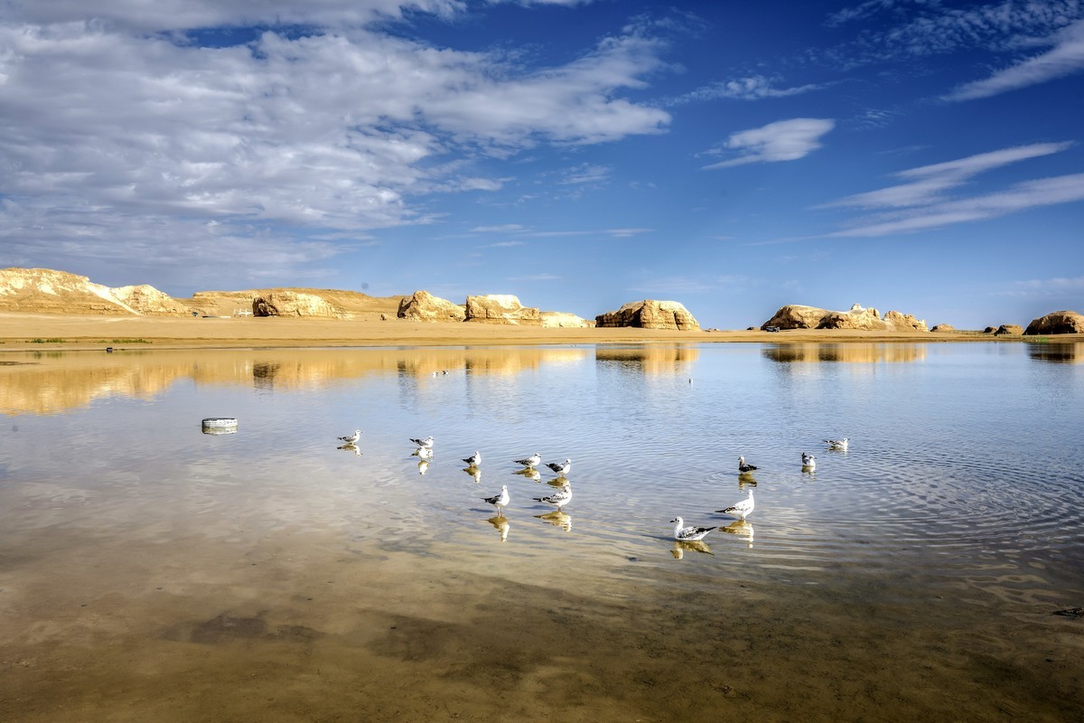 315 之行沿途随拍