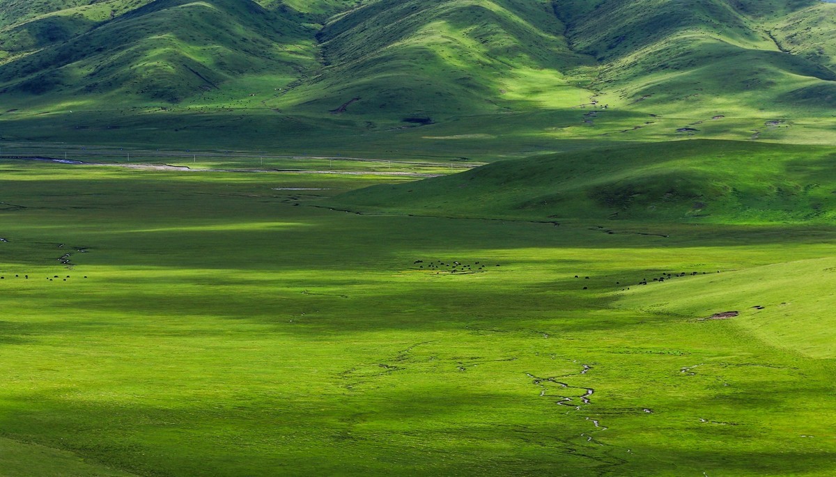 我只是把出去看到的随手记录下来（113）