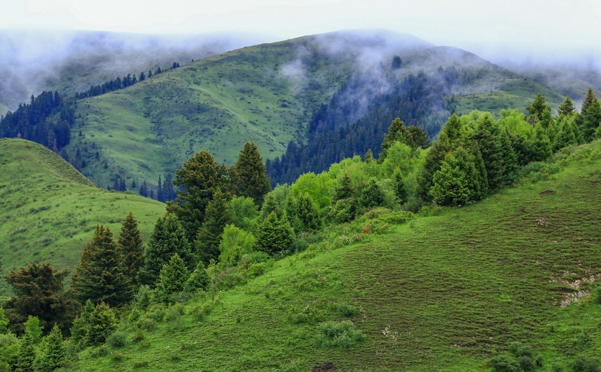 我只是把出去看到的随手记录下来（113）