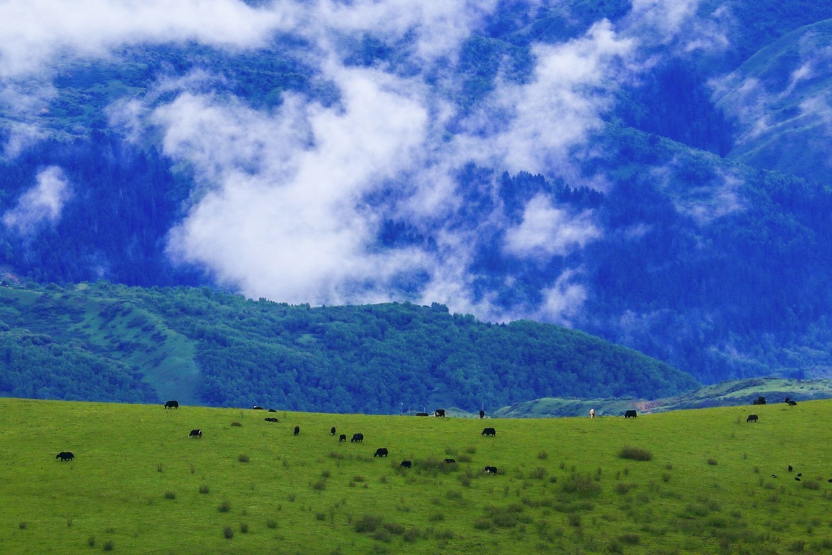 我只是把出去看到的随手记录下来（113）