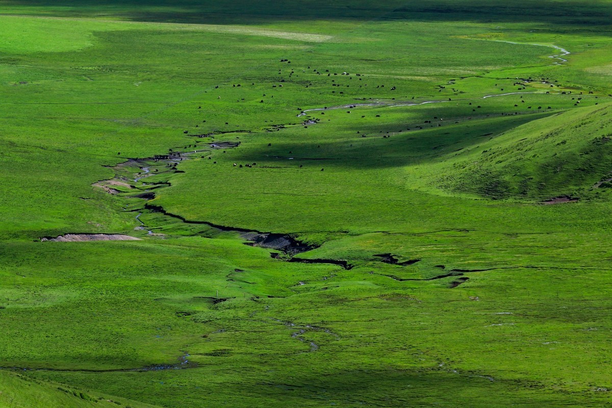 我只是把出去看到的随手记录下来（113）