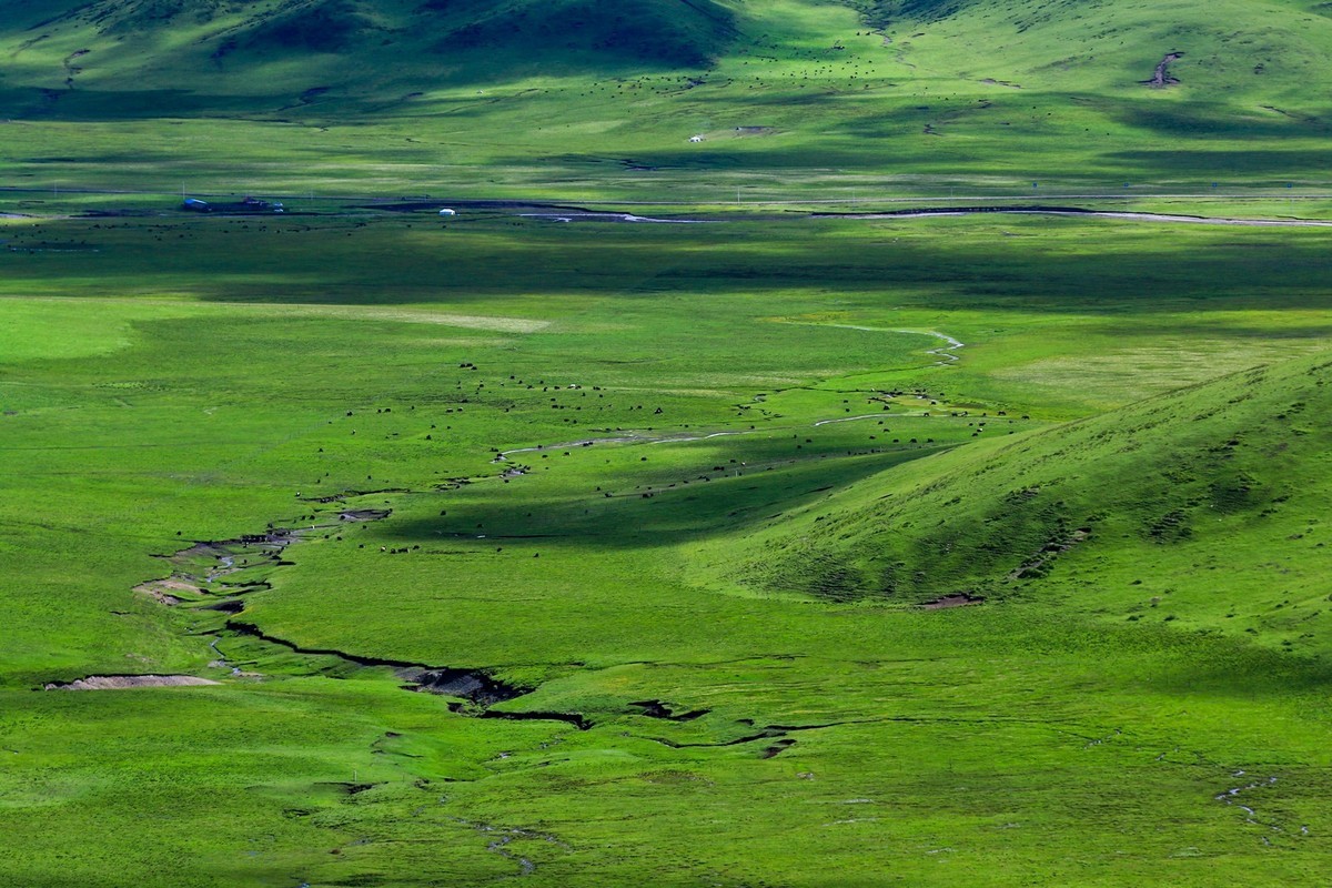 我只是把出去看到的随手记录下来（113）