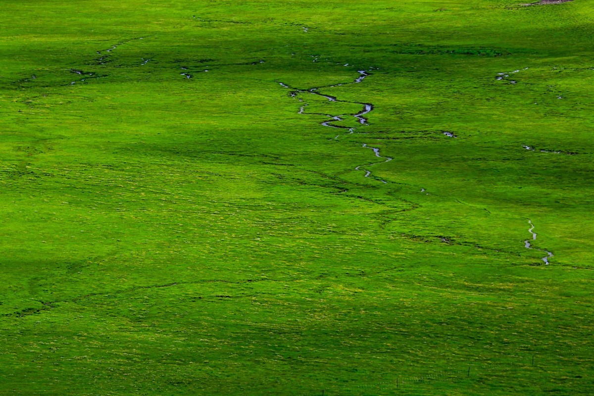 我只是把出去看到的随手记录下来（113）