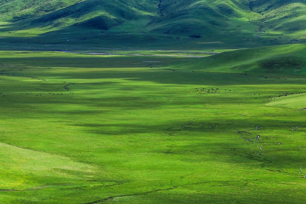 我只是把出去看到的随手记录下来（113）