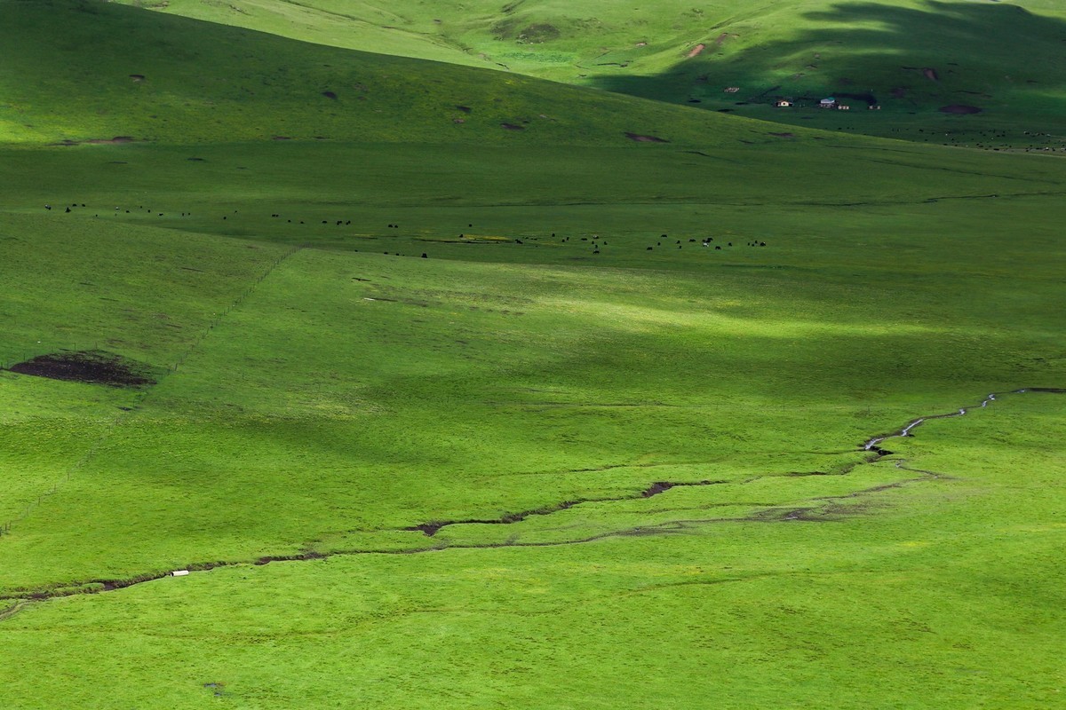 我只是把出去看到的随手记录下来（113）