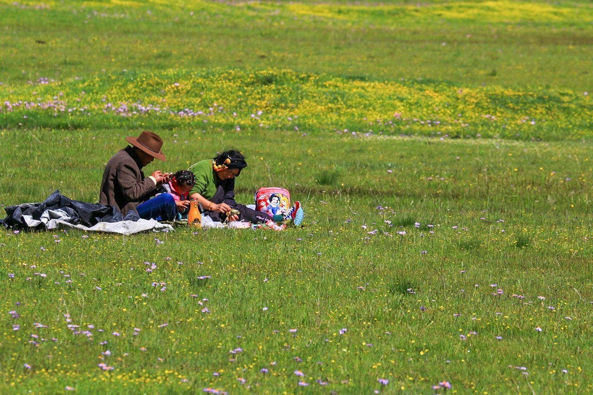 我只是把出去看到的随手记录下来（113）