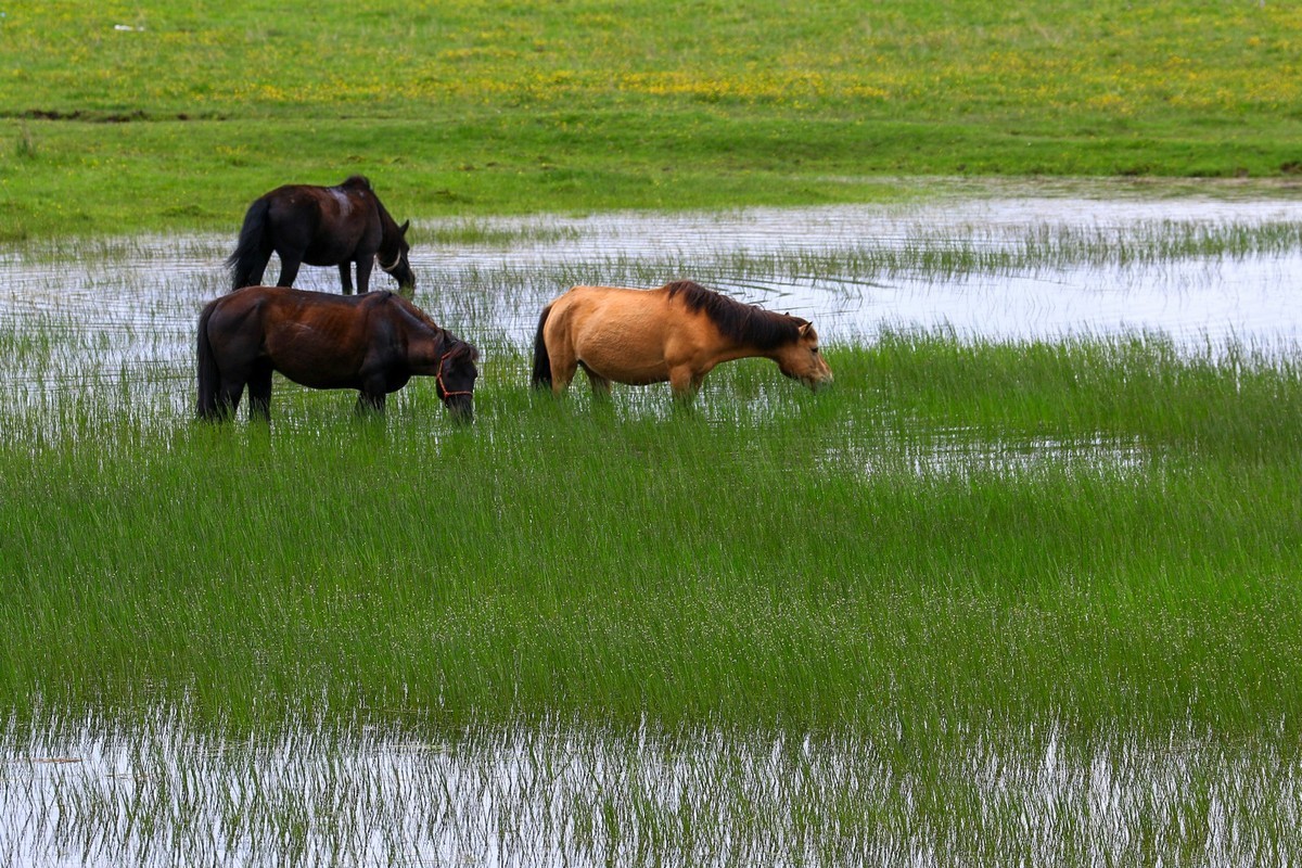我只是把出去看到的随手记录下来（113）