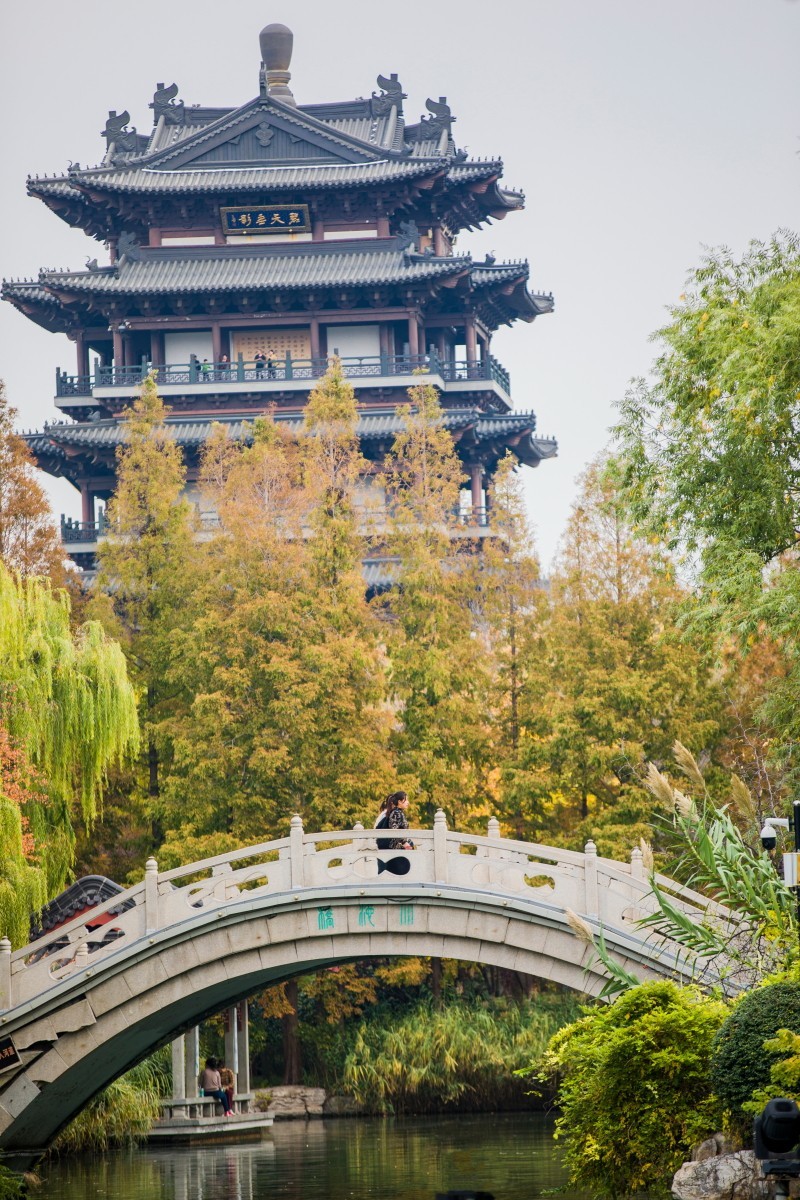 外出随拍（409）.