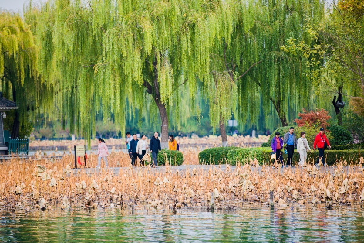 外出随拍（409）.