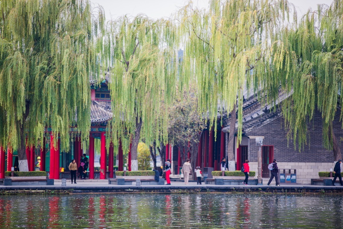 外出随拍（409）.