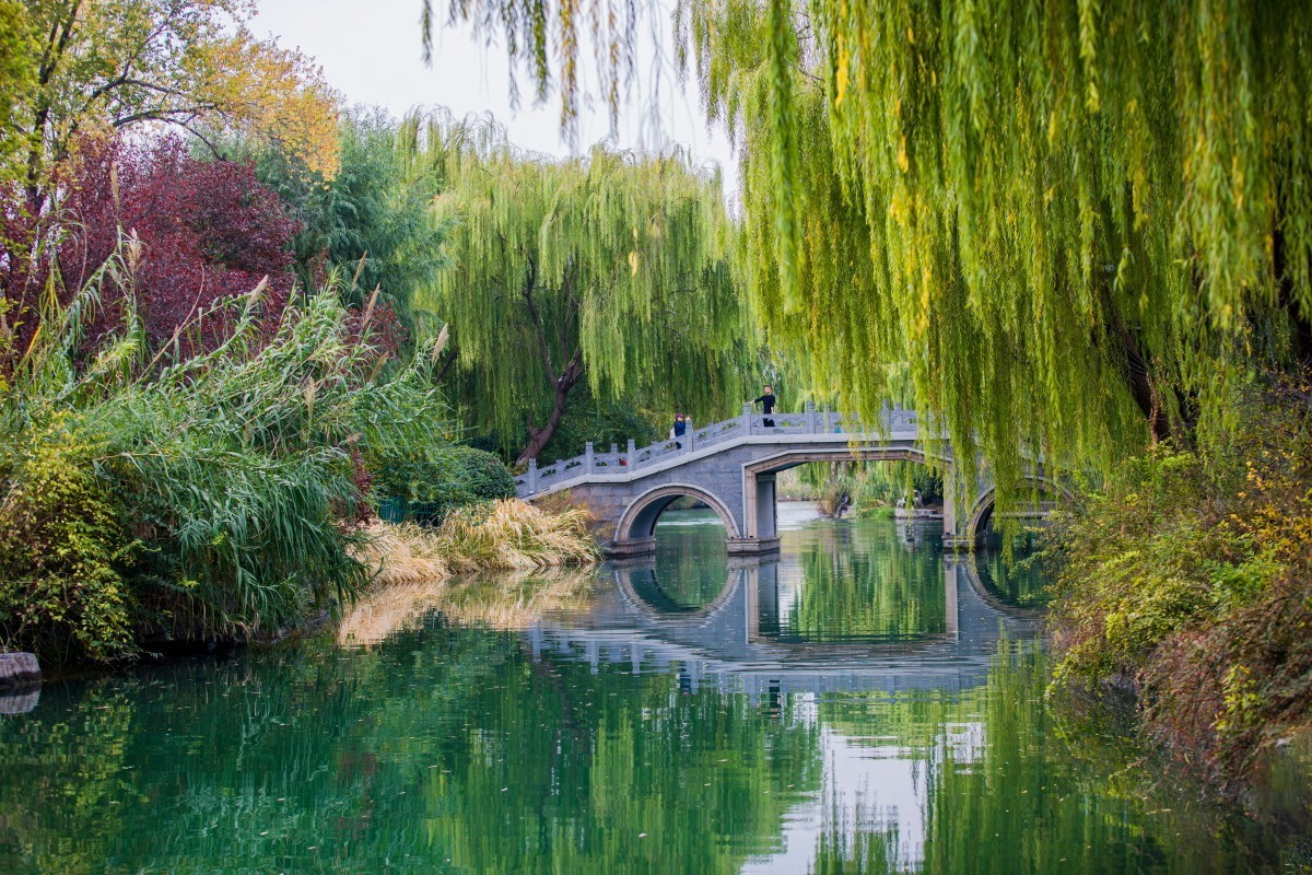 外出随拍（409）.