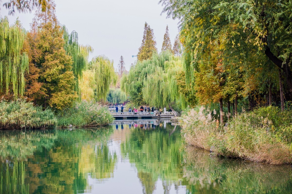 外出随拍（409）.