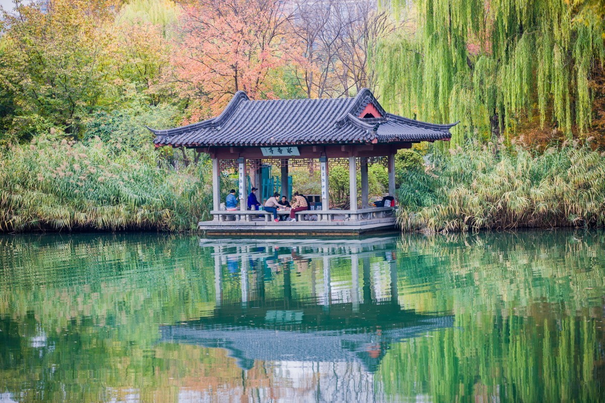 外出随拍（409）.