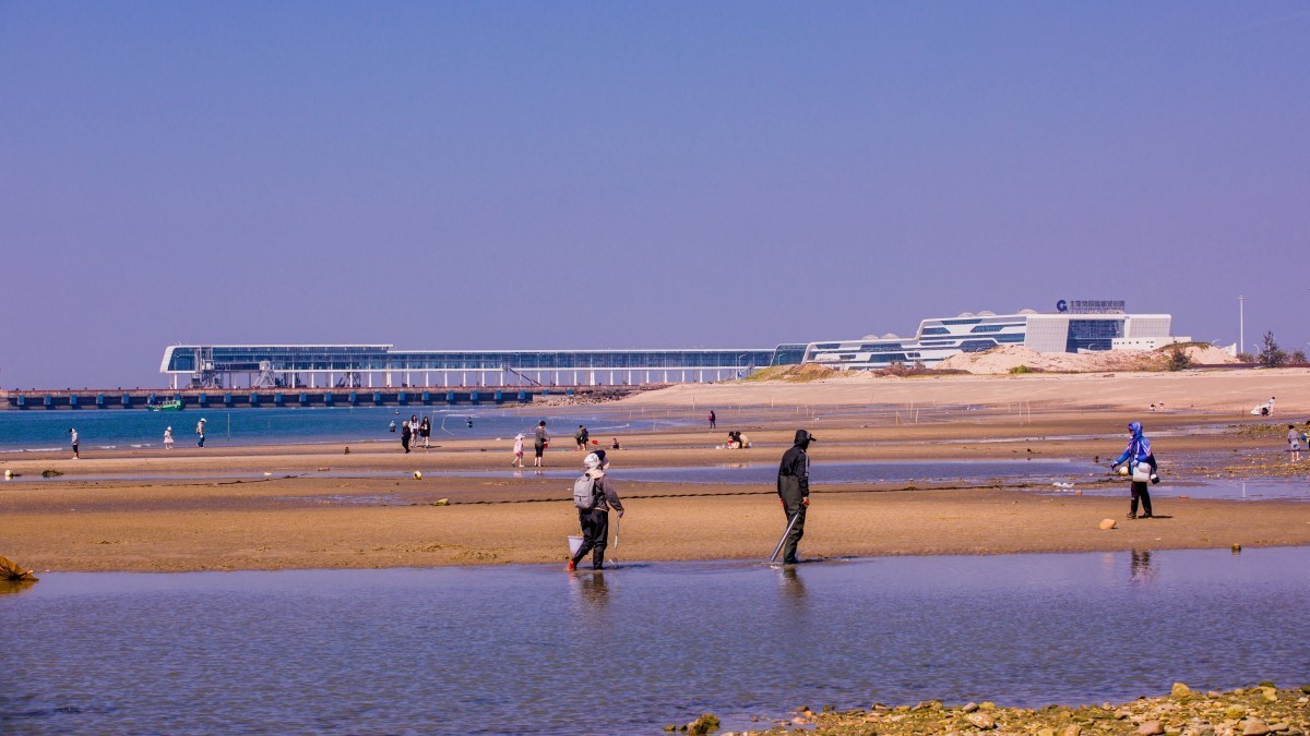 外出随拍（410）.