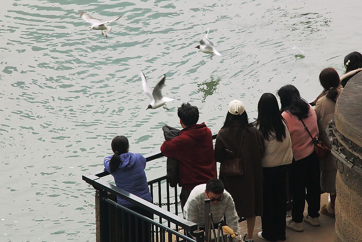 长江第一城——宜宾（七）