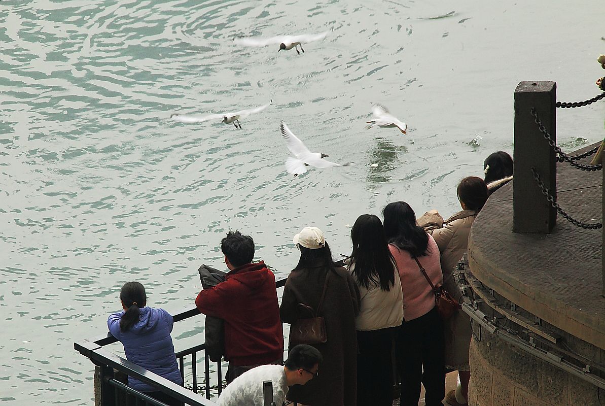 长江第一城——宜宾（七）