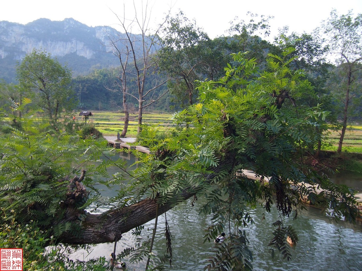 2023.12.22坝美随拍（17）