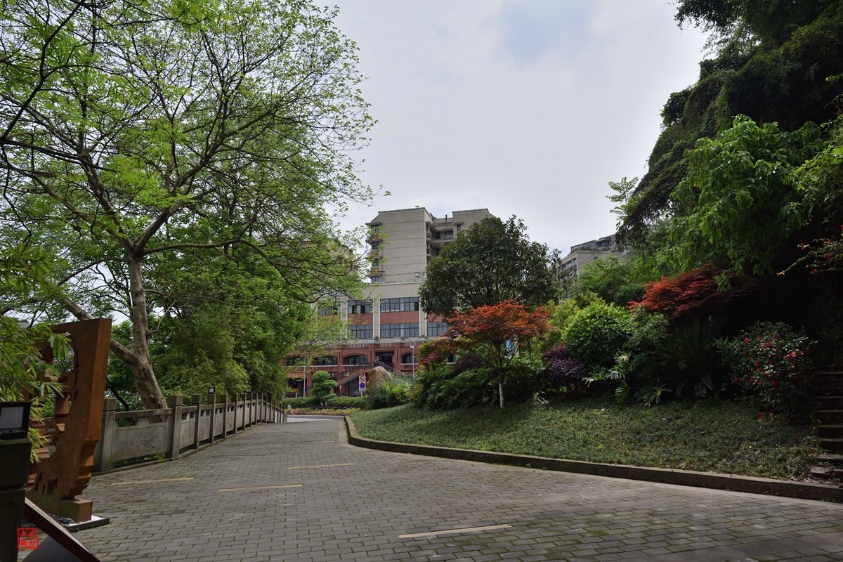 收了支二手尼康AF-S18-35f3.5-4.5G镜头(新银广)试镜3