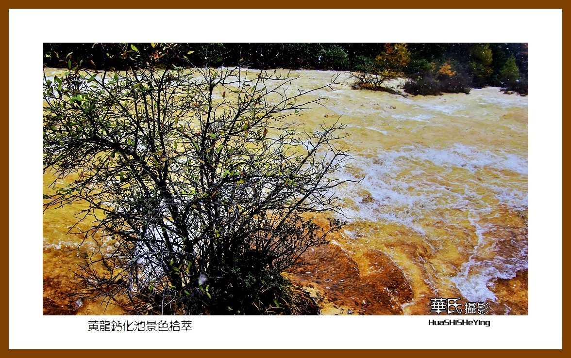 2020西西南北行游走川西206——黄龙钙化池景色拾萃（阿坝州松潘县）