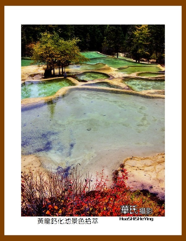 2020西西南北行游走川西206——黄龙钙化池景色拾萃（阿坝州松潘县）