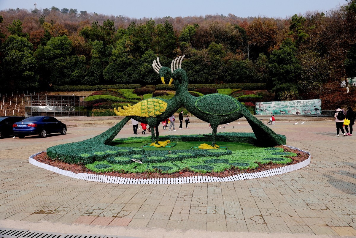 武汉映像九峰森林动物园拾影