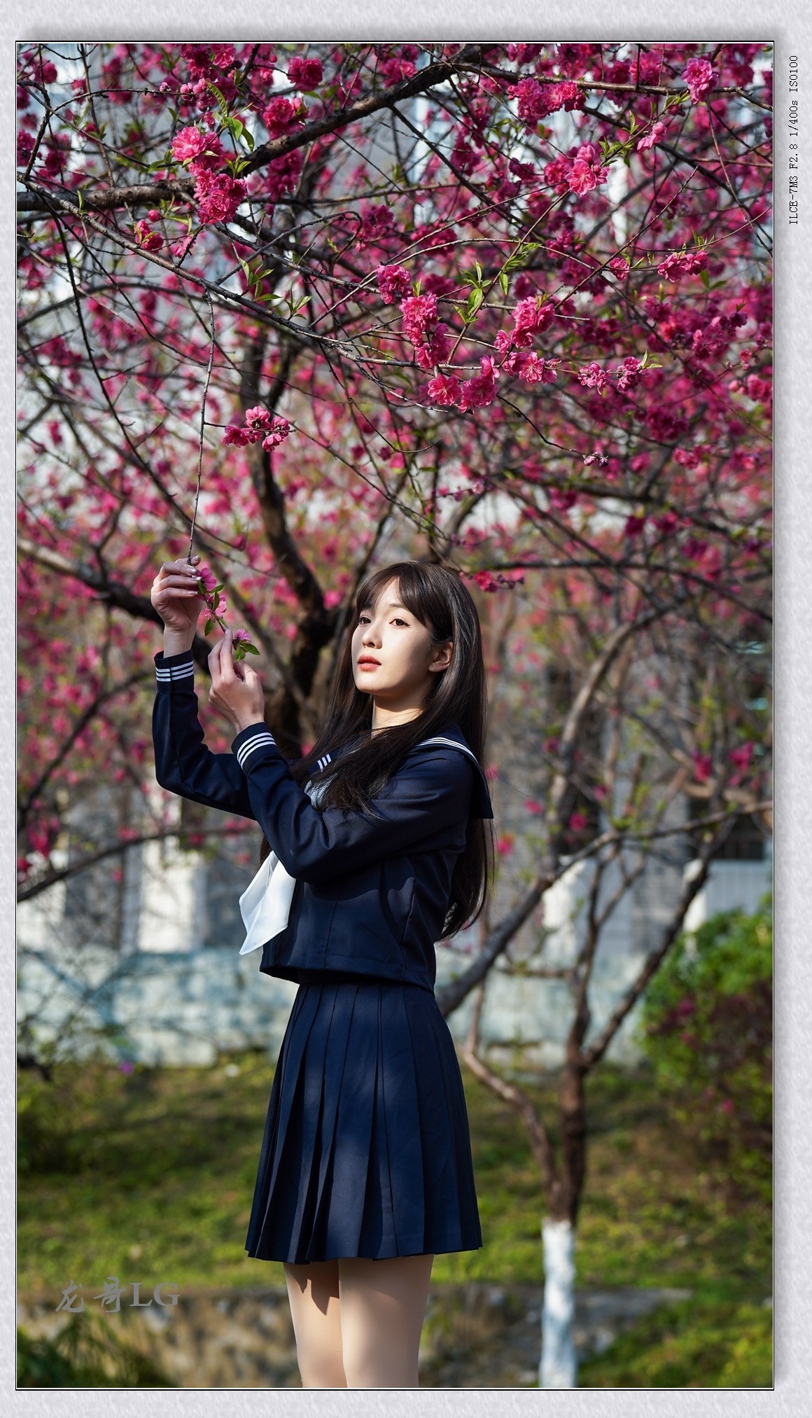 《春满校园系列》之一 玲玲