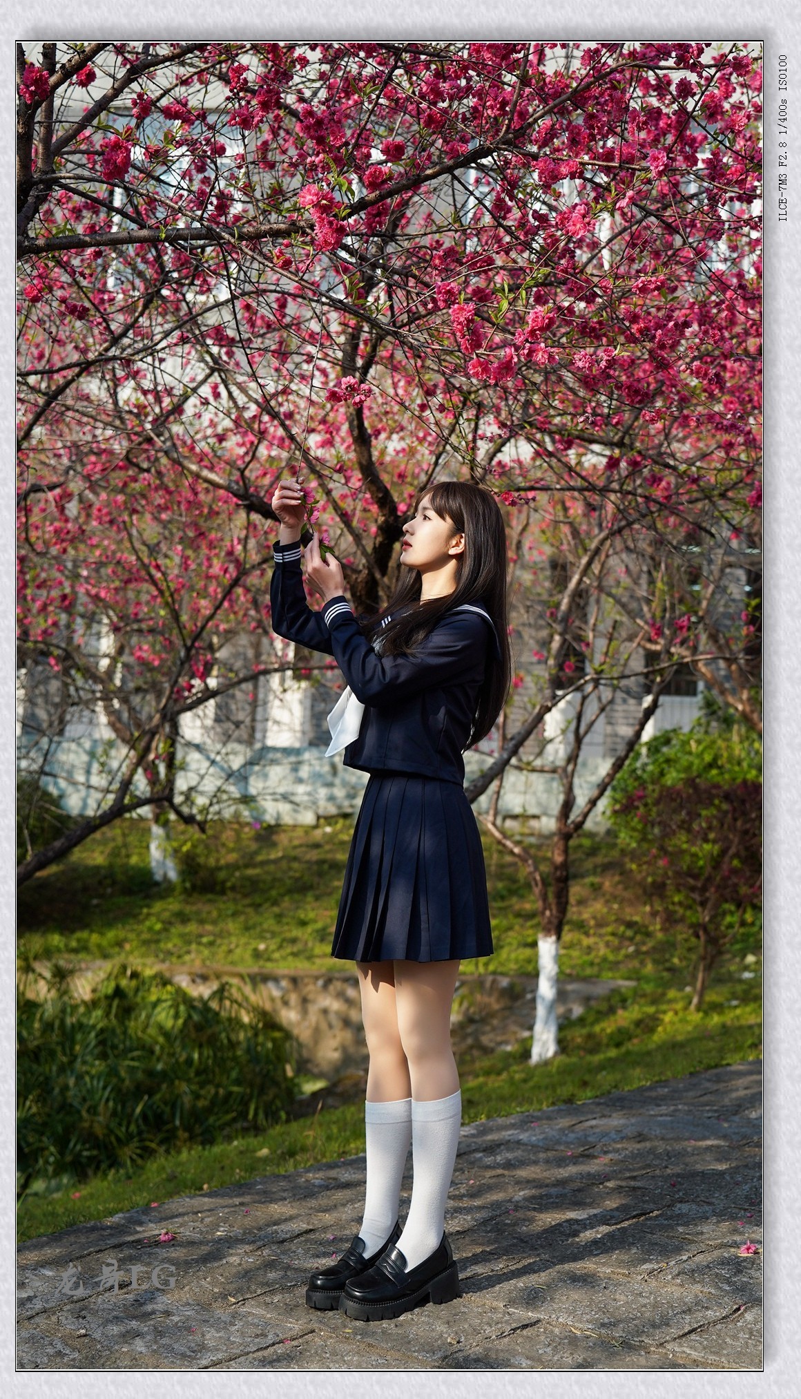 《春满校园系列》之一 玲玲