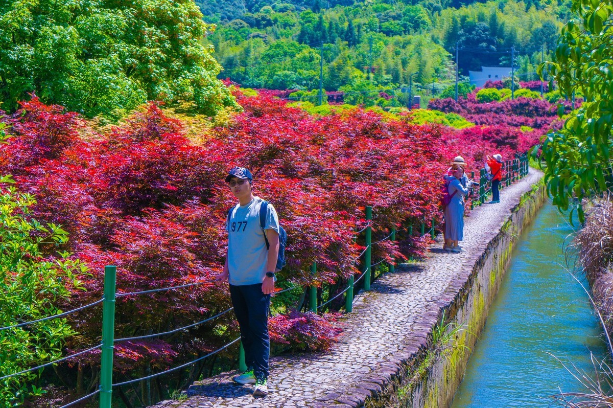 中国最美县城——桐庐严子陵