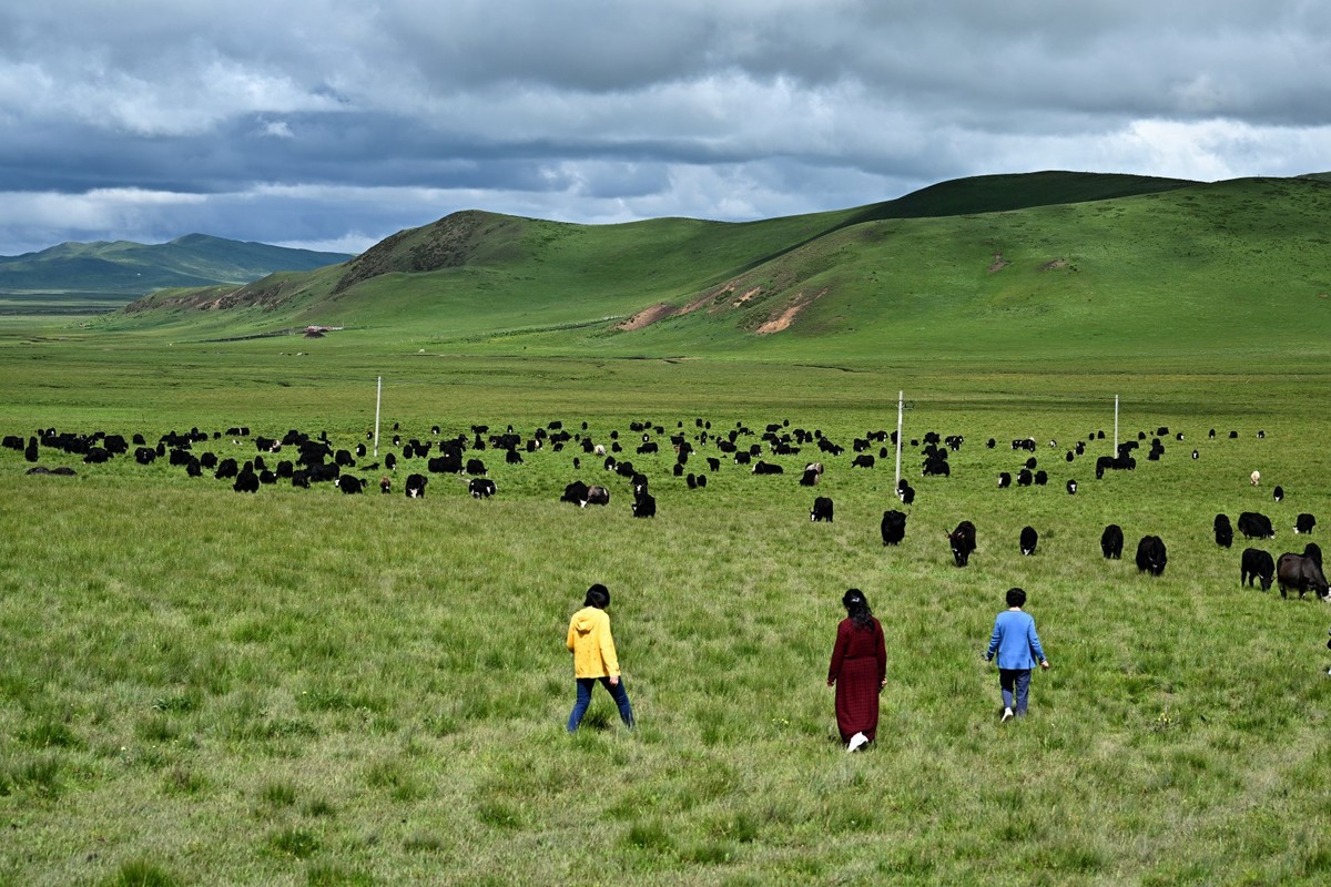 恭喜好友全红荣任安阳星空(中国)版主