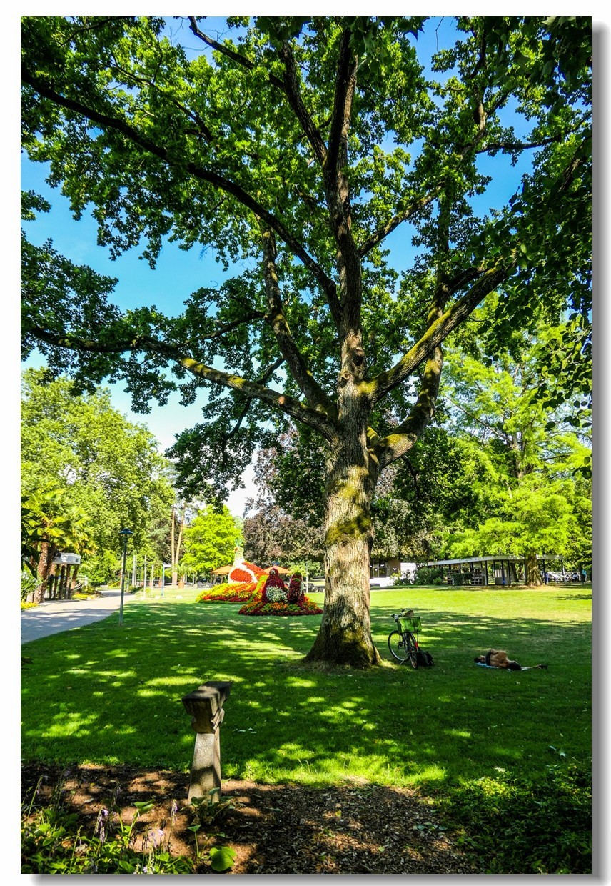 公园光影（南德）