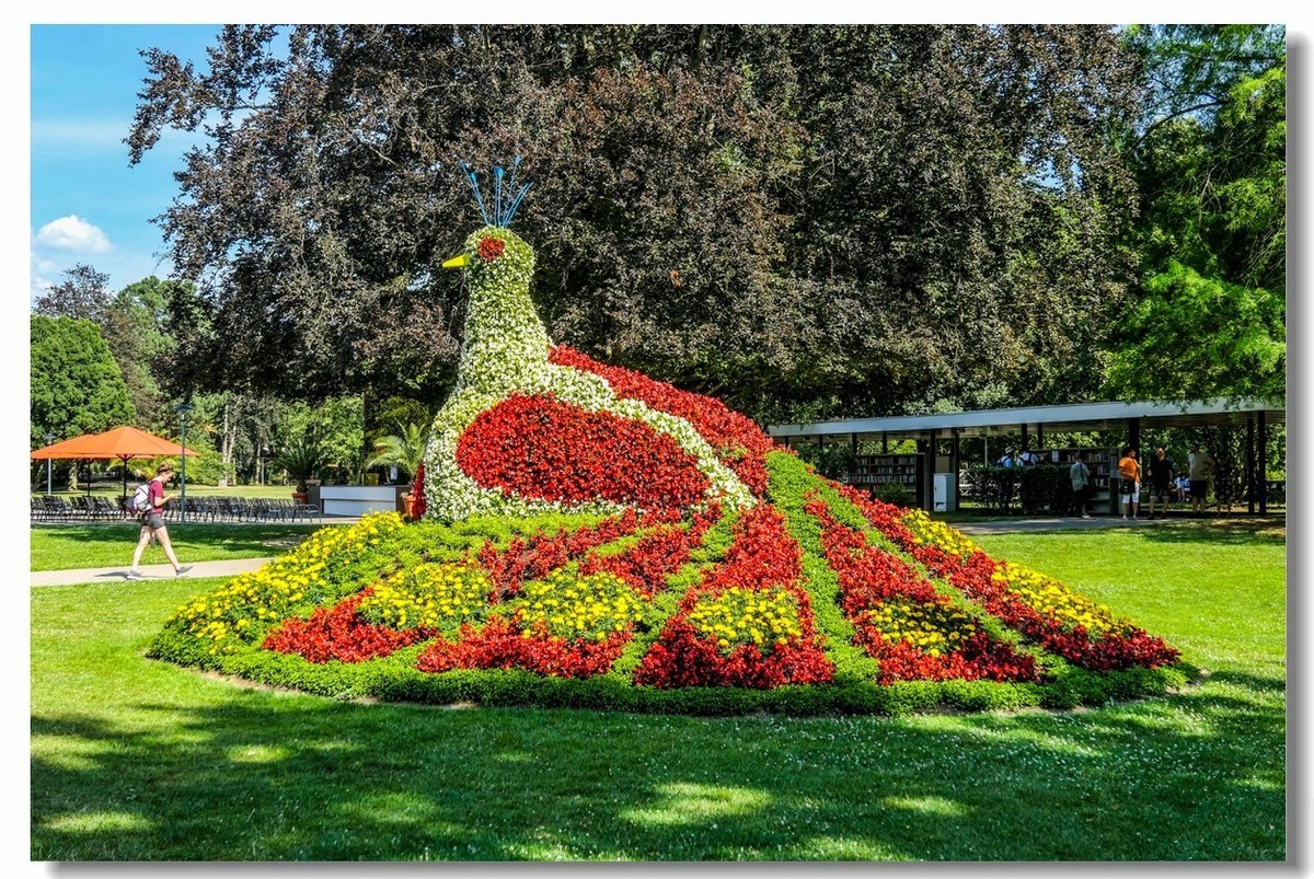 公园光影（南德）