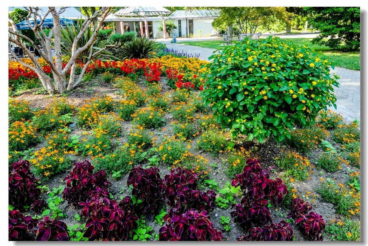 公园光影（南德）