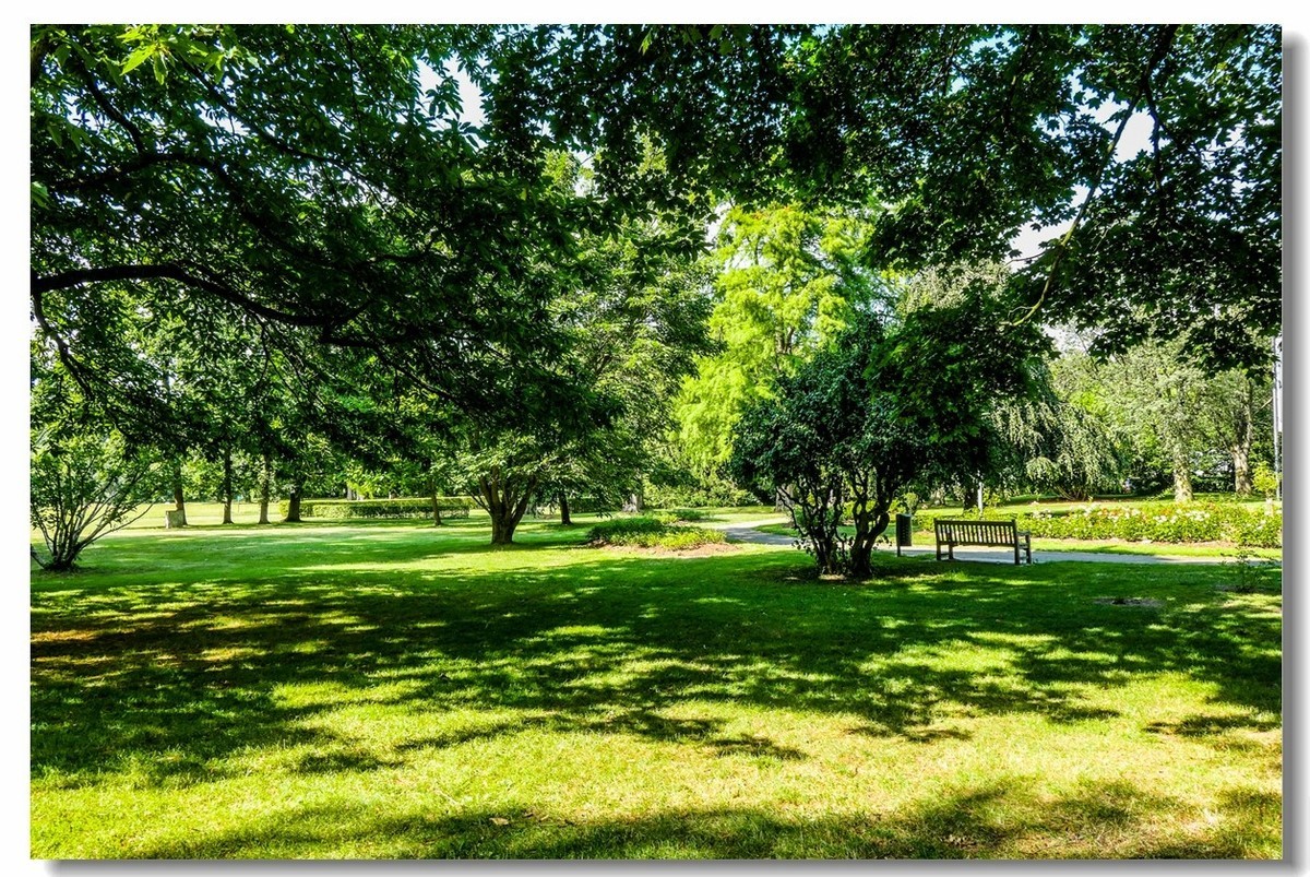 公园光影（南德）