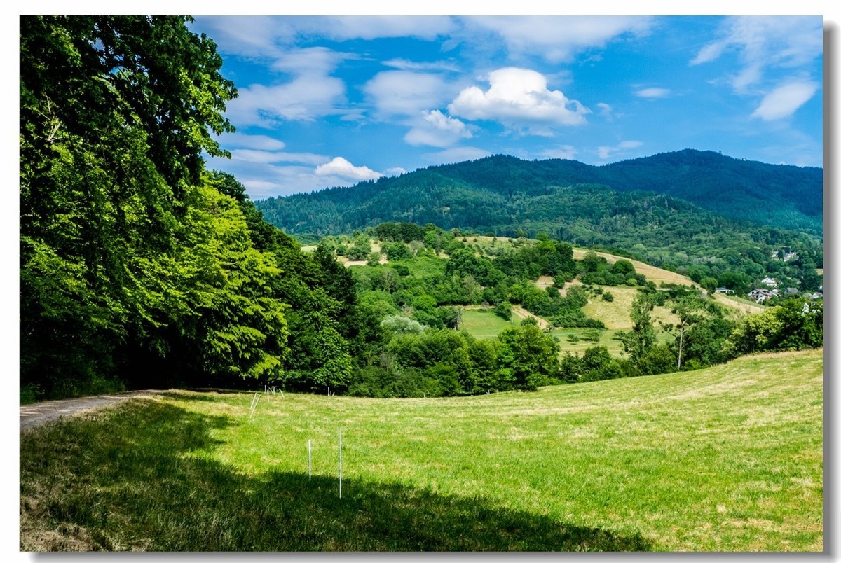山野游拍（南德）