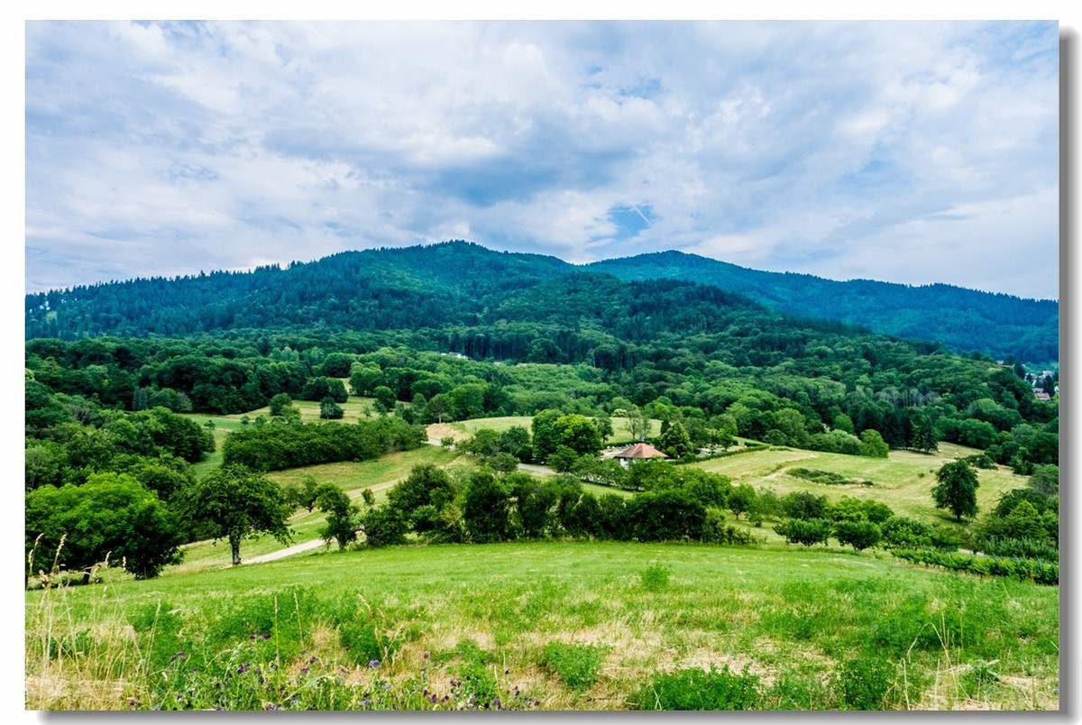 山野游拍（南德）