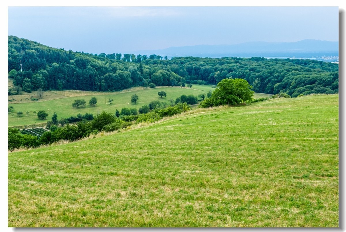 山野游拍（南德）