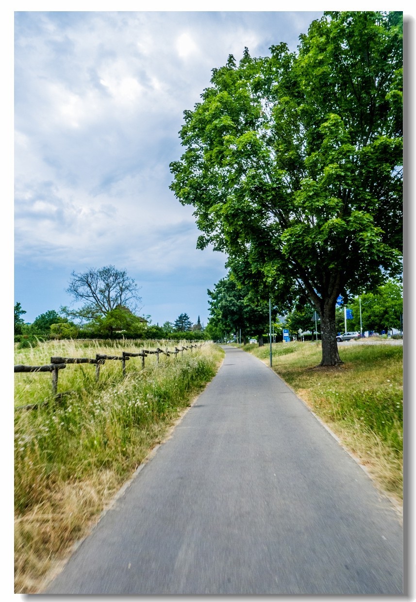 山野游拍（南德）
