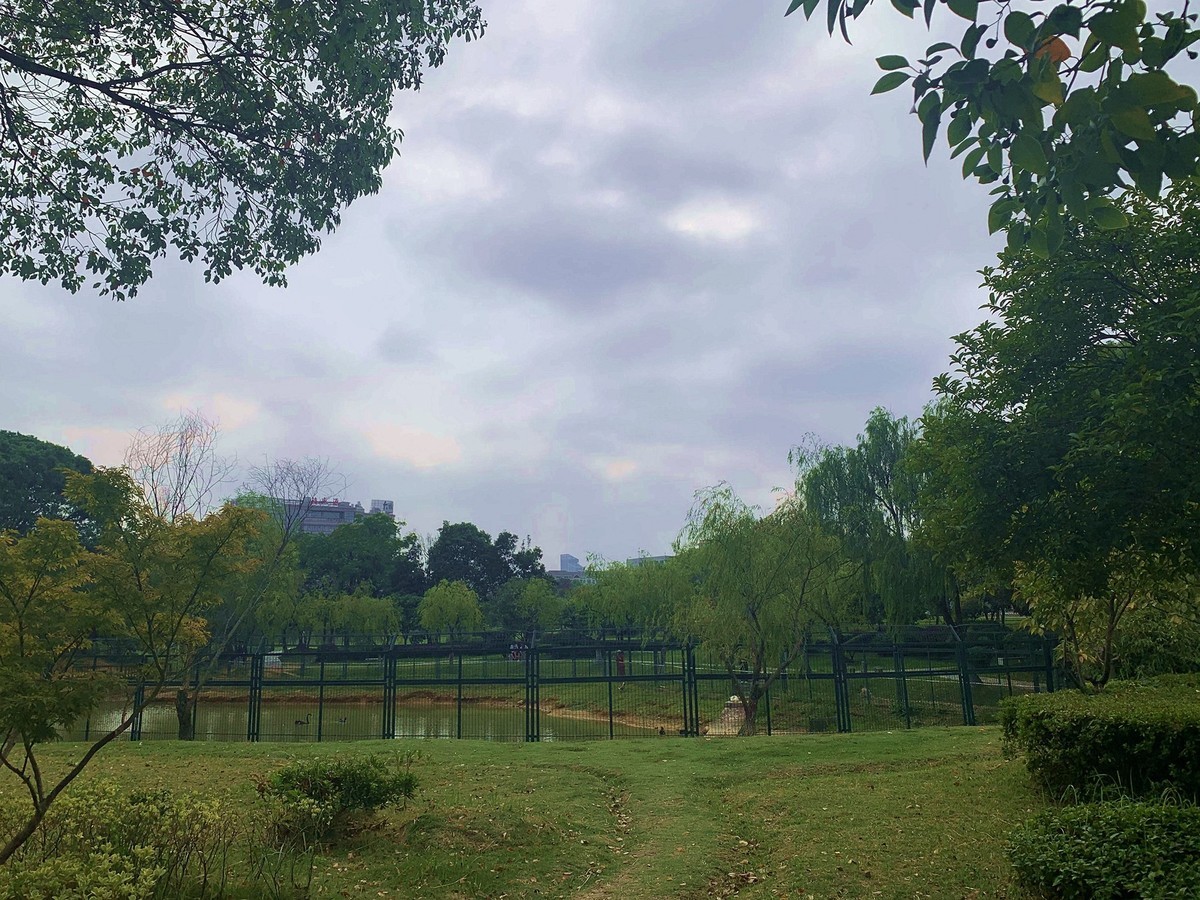 中南大学新校区2[手机版]